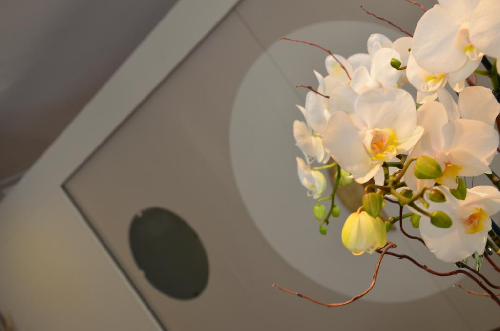 Hotel Mirage Milano Marittima Extérieur photo